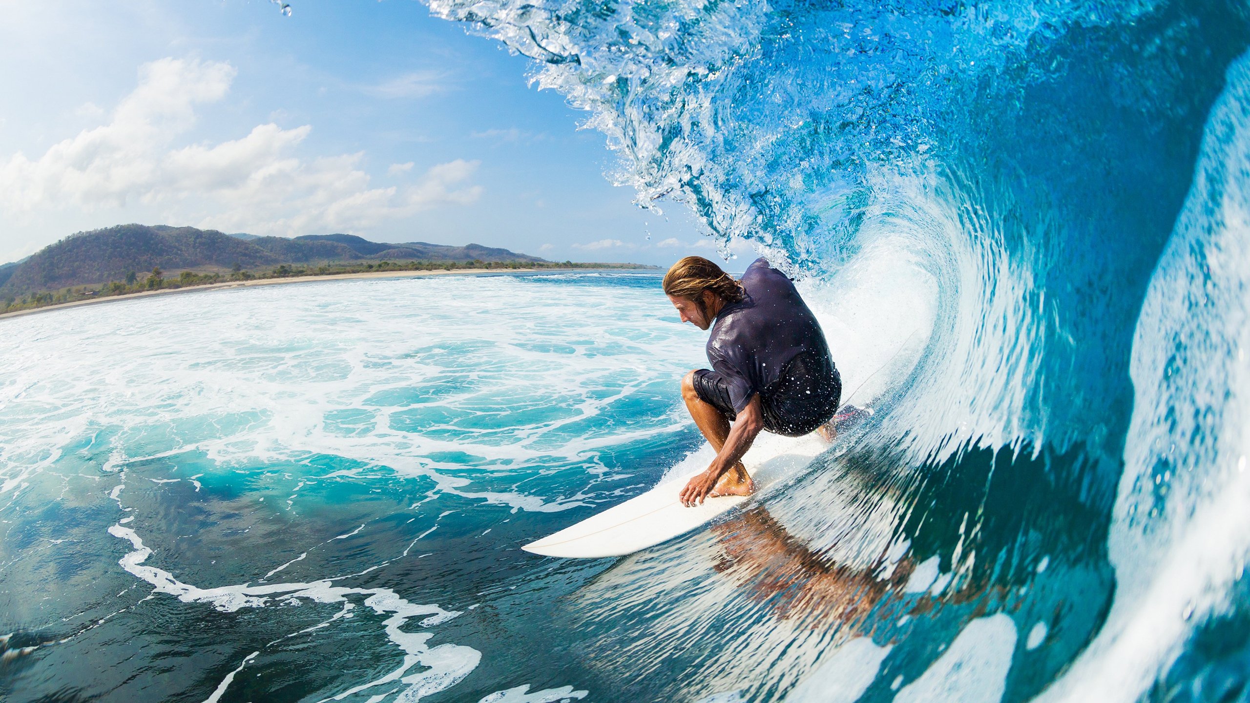 德国马术协会建立马匹基因数据库,促进马匹选育与训练。,德国马术选手痛哭